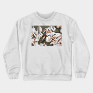 Hungry Pelicans Crewneck Sweatshirt